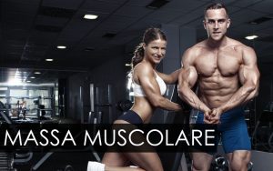 scheda allenamento massa muscolare