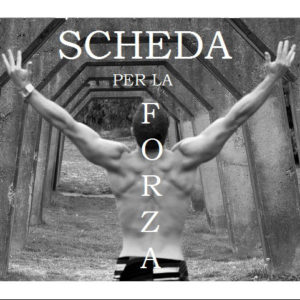 schede forza